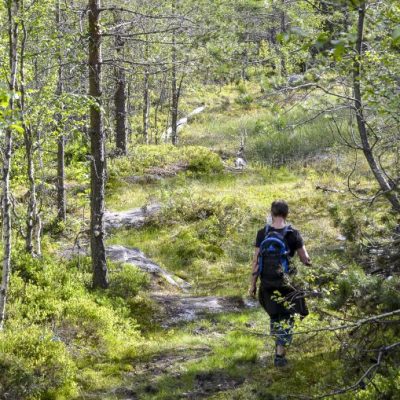 Granberget - Värmlands högsta topp
