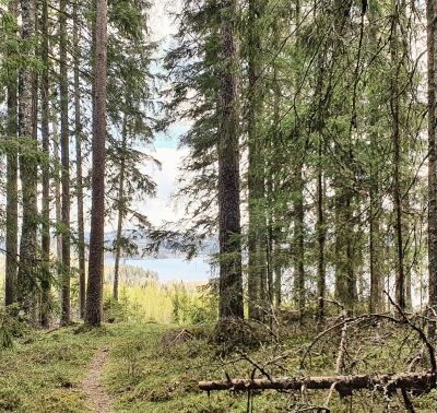 Åbengtshöjdens naturreservat