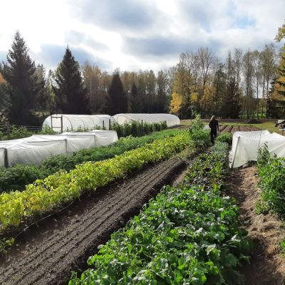 Vegerbols Grönsaksgård