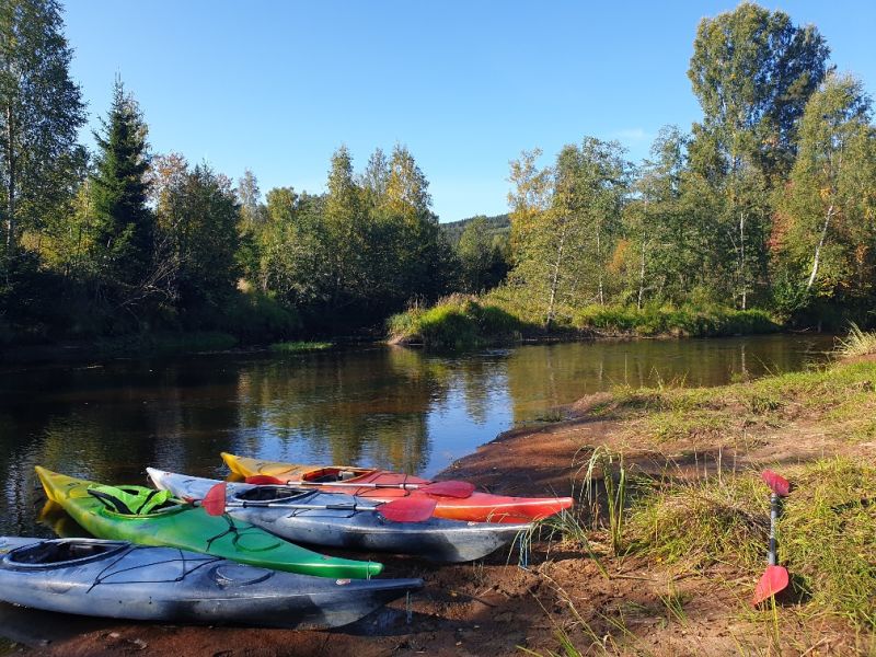 Naturcamping Lagom