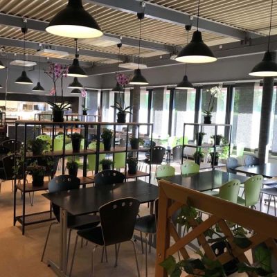 Papaya kök och café