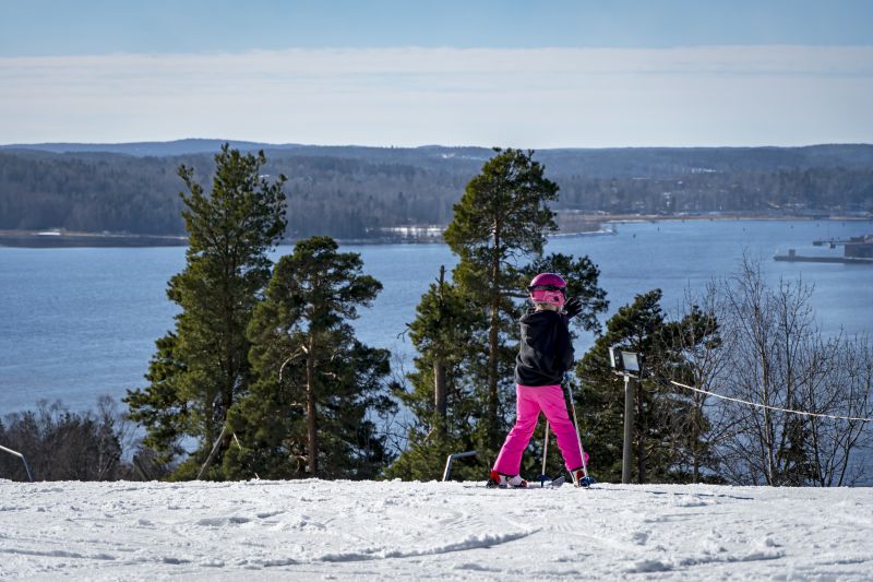 Ålviksbacken