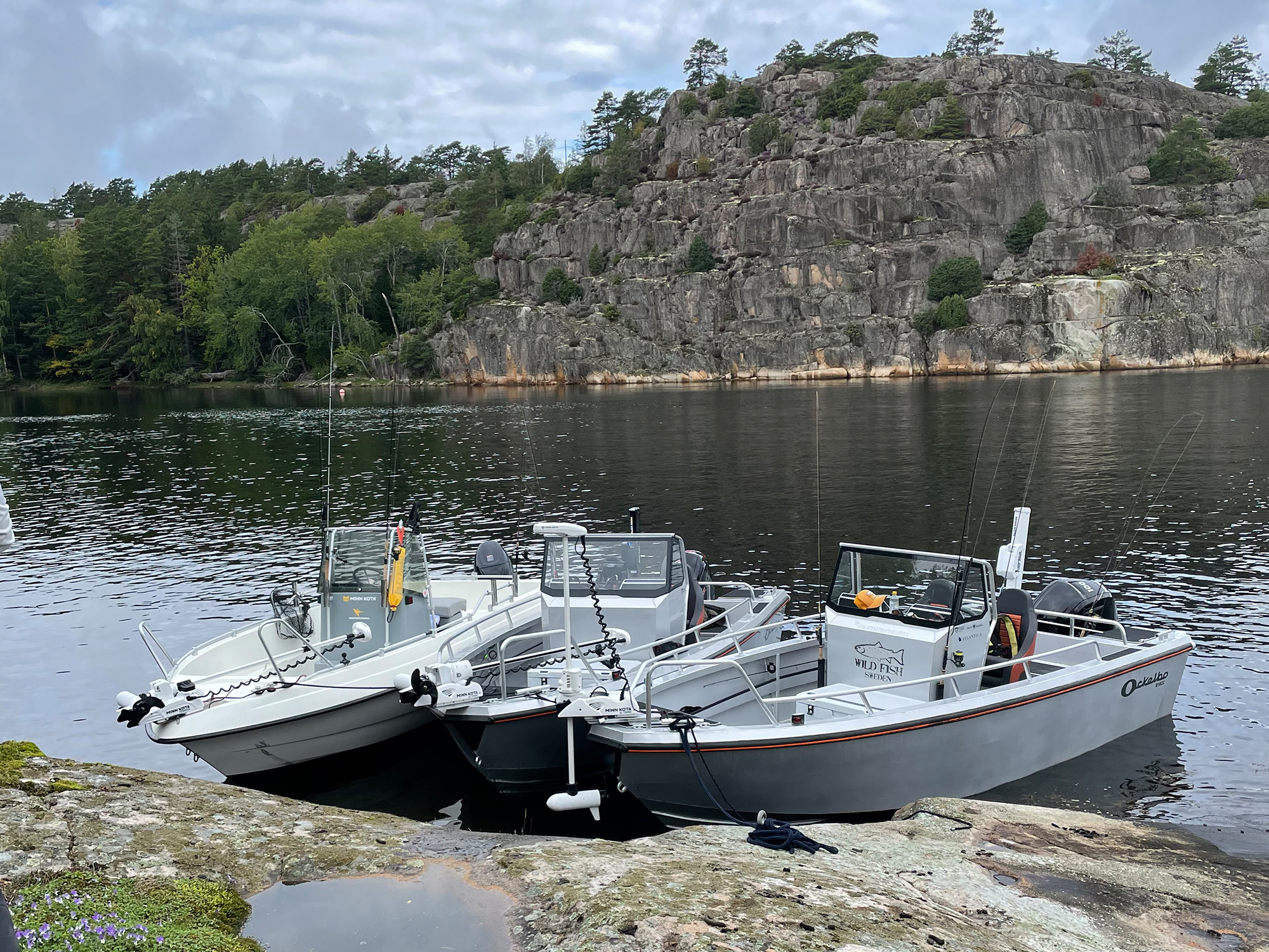 Circle of Fishing