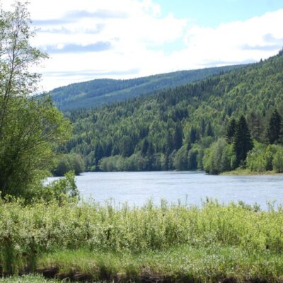 Vildmarkscenter Sysslebäcks Stugby & Fiskecamping