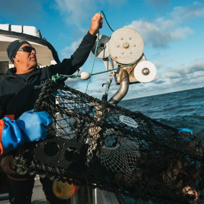 Havskatten Hotell och Vandrarhem
