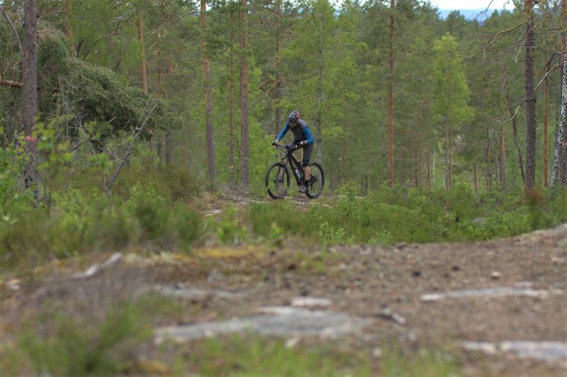Högerudsleden