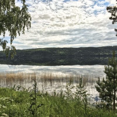 Mangen-Treen FVOF