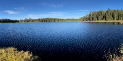Örnäs Ädelfiske