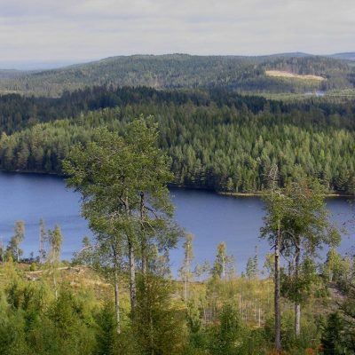 Fiska i Västra Långserud FVO
