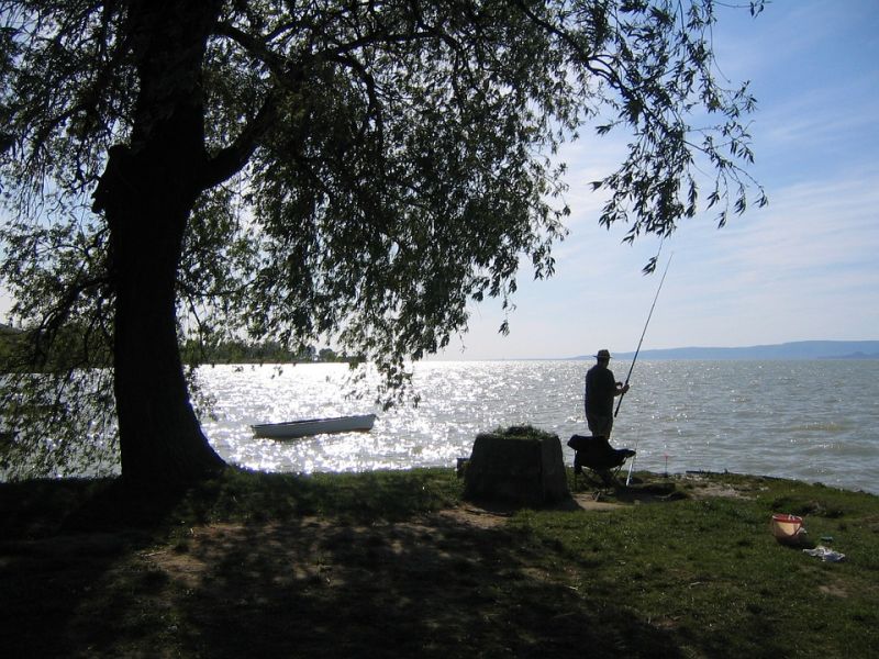 Södra Gunnarskog FVOF