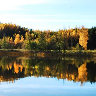 Lundsbergs Fiskevårdsförening