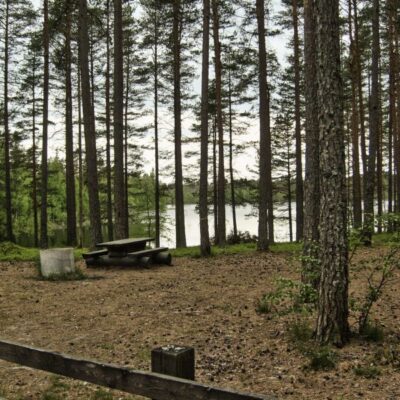 Stora tjärns badplats