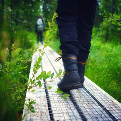 Familjevänlig Vandring i Kroppefjälls Naturreservat