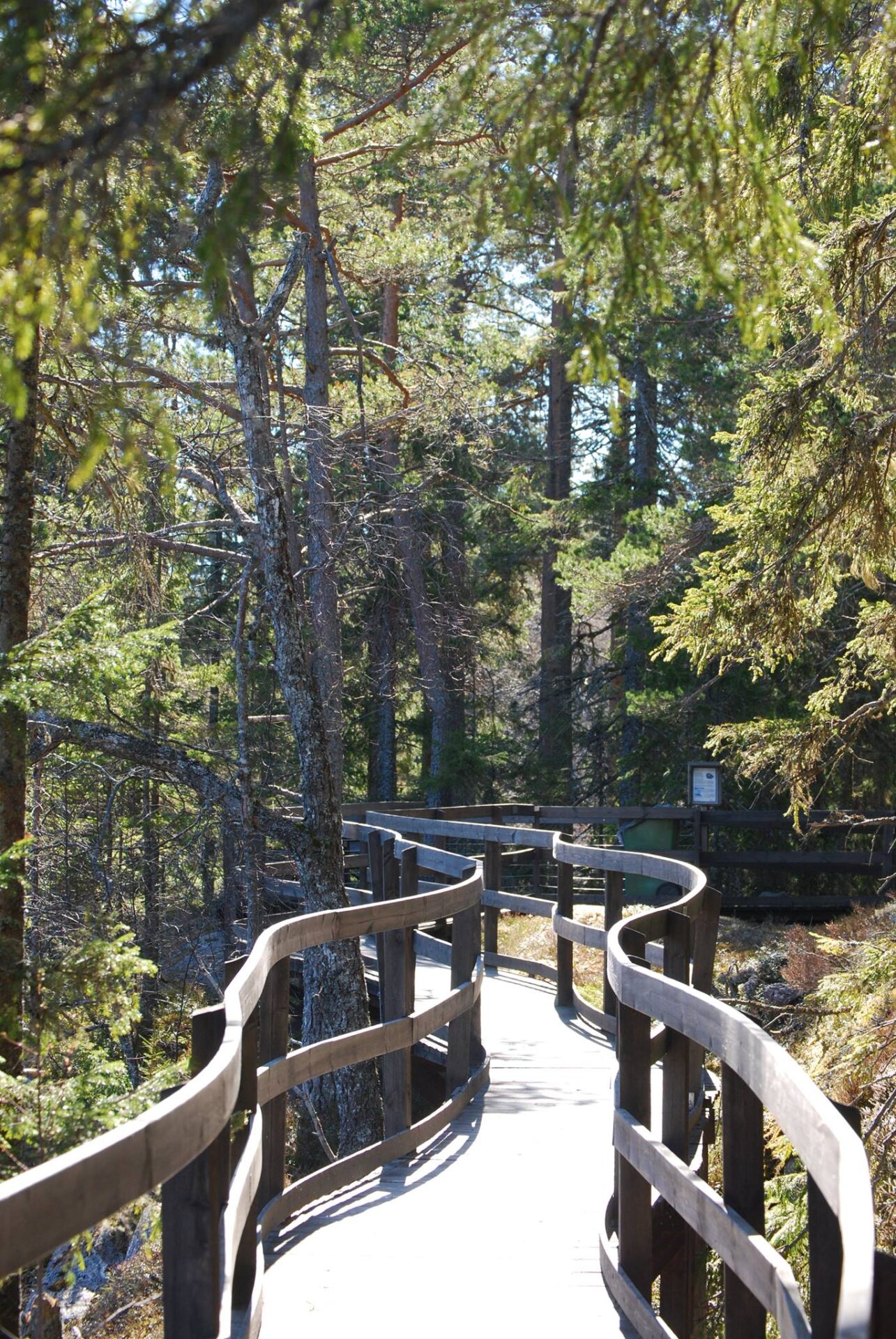 Vandring - Gå eller rulla till Klubbsjön i Smitingens naturreservat