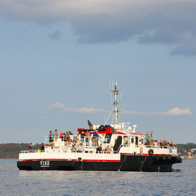 Tuna Safari i Öresund