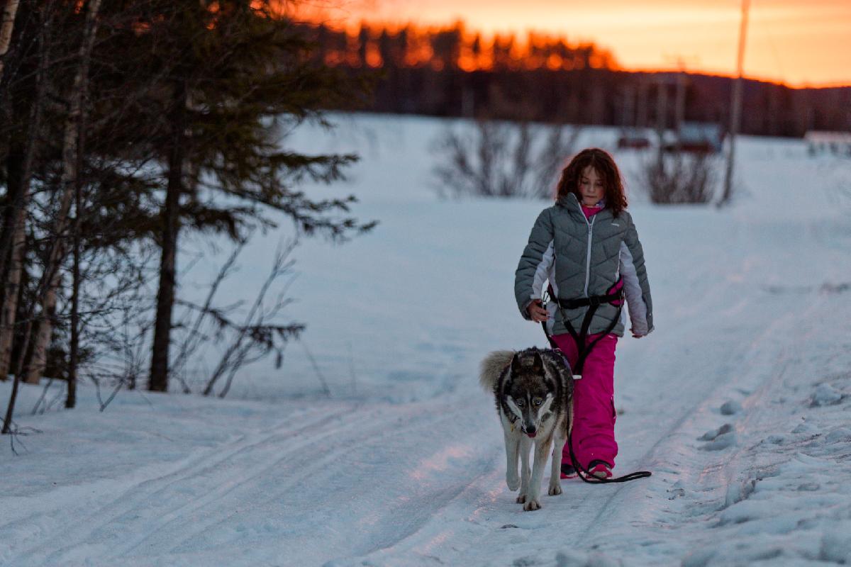2-timmars vandring med Huskies