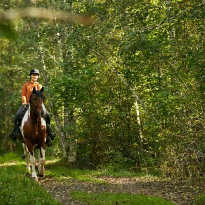 Ridtur i Dalsland - 2 timmar