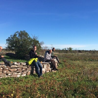 Matvandring på Stora Alvaret – med smak av Öland