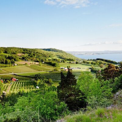 En guidad vandring i Äppledalen