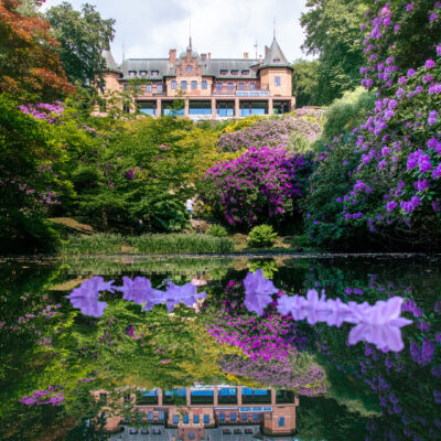 Entrébiljett till Sofiero slott i Helsingborg