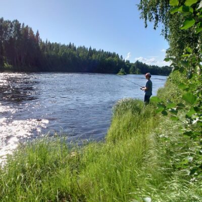 Prova På Tvåhandsflugfiske i Åbyälven