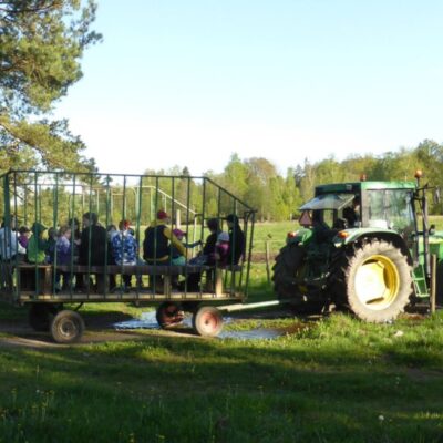 Traktor & vagn på Rugstorps Lantgård