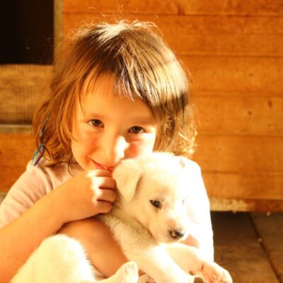 Kennelbesök med mat över öppen eld – 2,5 timmar med slädhundarna