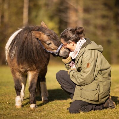 Ponnyvandring på landsbygden - 1,5 timme