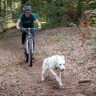 Bikejöring i Dragnäs