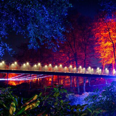 Höstljus på Sofiero: En magisk upplevelse