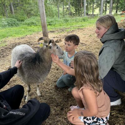 Guidad gårdsbesök och lunch i Lappvik