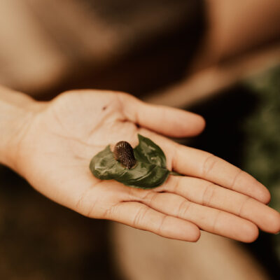 Coffee Scrub Ritual på Laxön