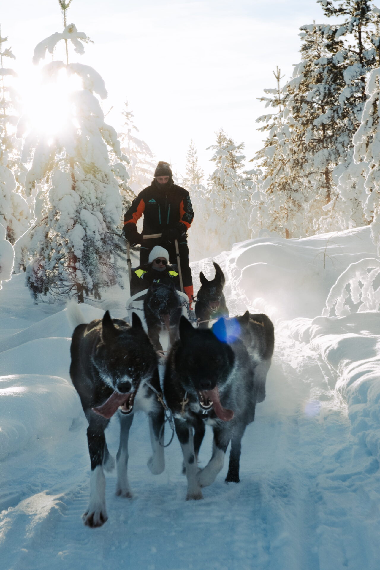 5 km Huskysafari