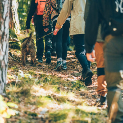 Guidad vandring till Ryds Grottor