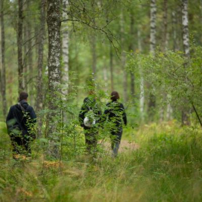 Ekenäs, Värmlandsnäs