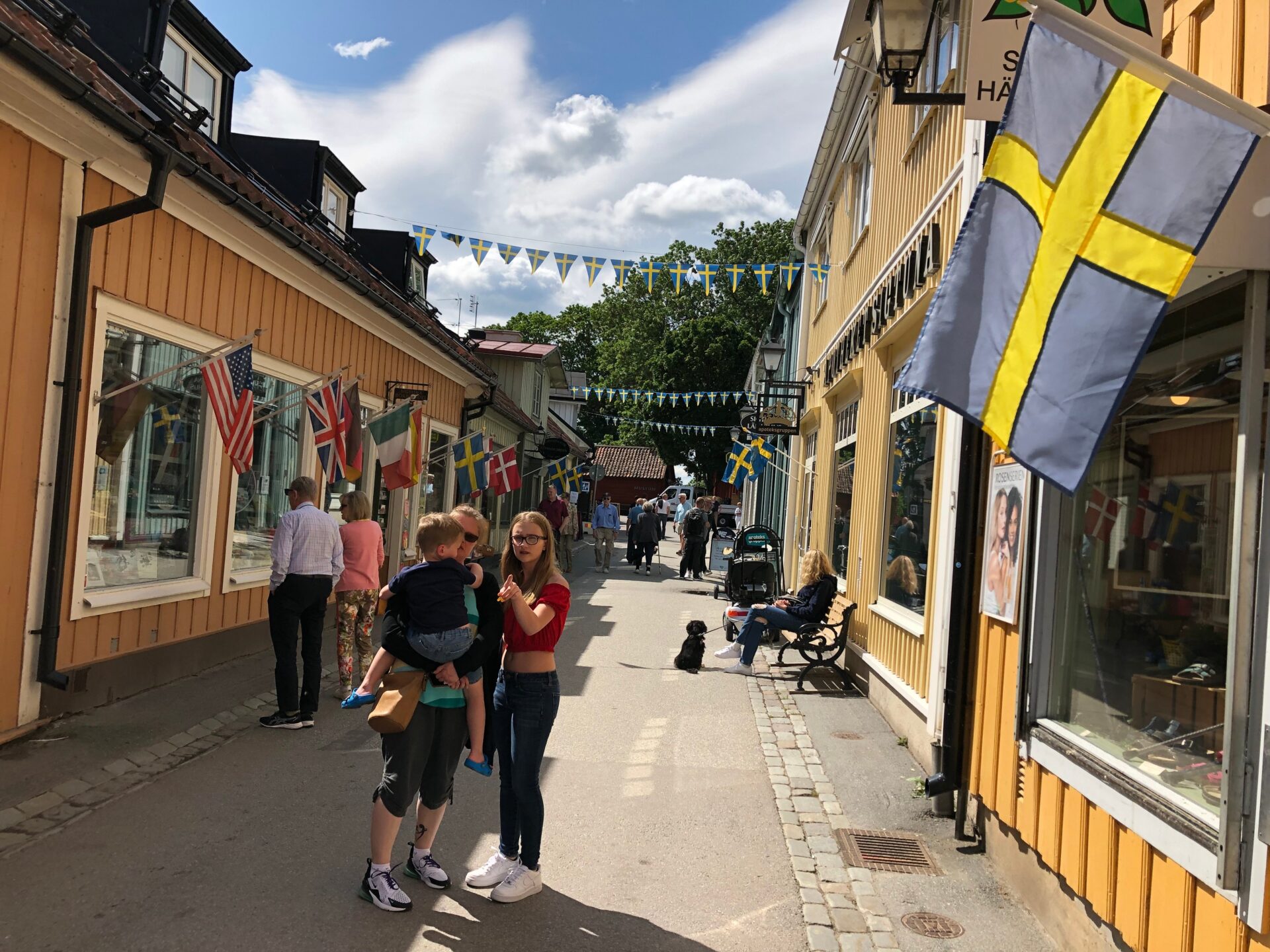 Från Stockholm: Guidad dagsutflykt till Sigtuna stad