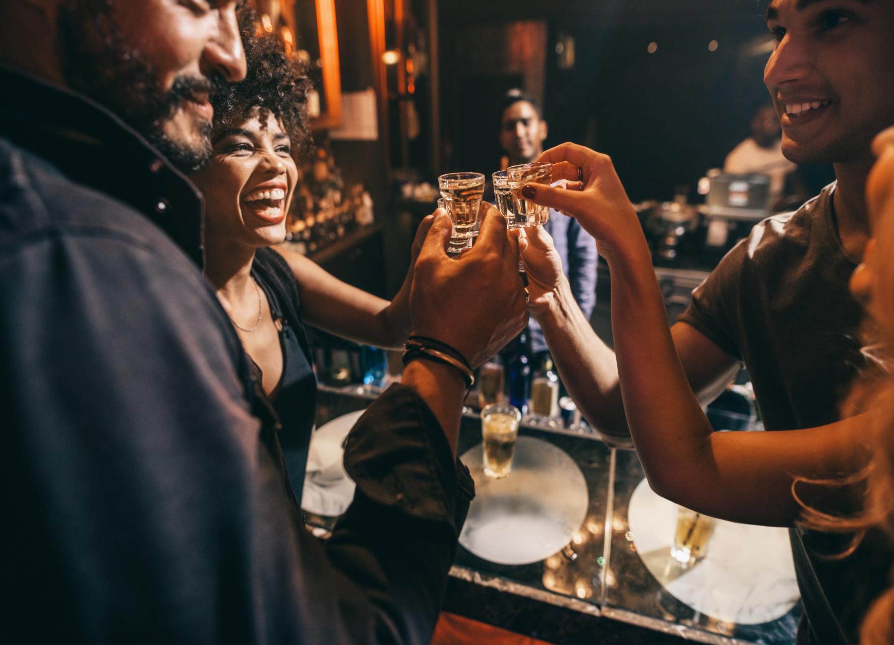 Snaps, Hygge och Nightlife Tour i Stockholms gamla barer