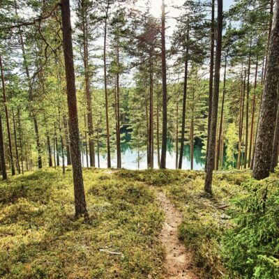 Brattforsledens startplats