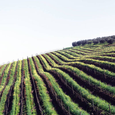 Italiensk vinprovning | Malmö