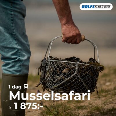 Musselsafari