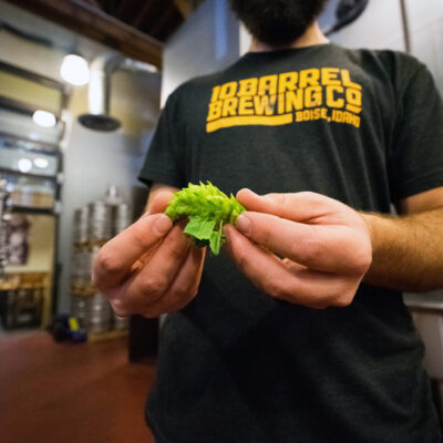 Ölbryggarkurs steg 1 | Göteborg