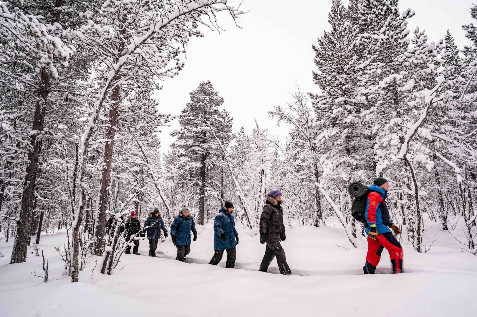 Snöskor i en vinterskog