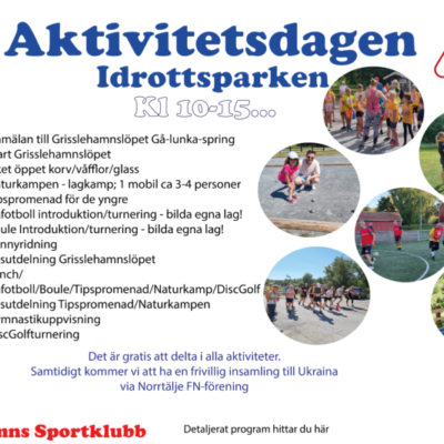Aktivitetsdag