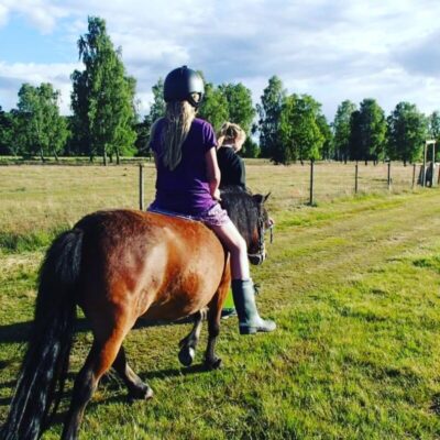 Alla barns dag på 4H-gården