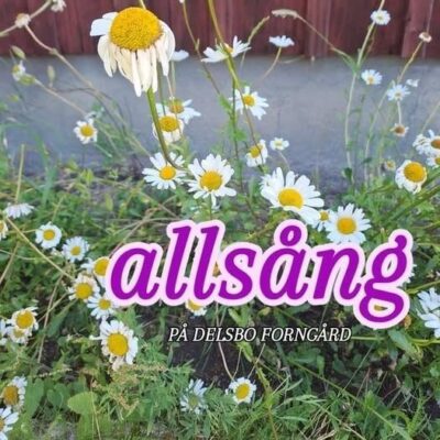 Allsång på Delsbo Forngård