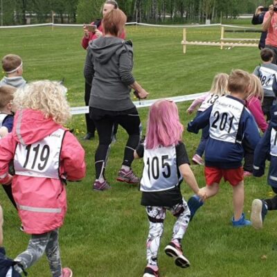Ankspring i Tibro