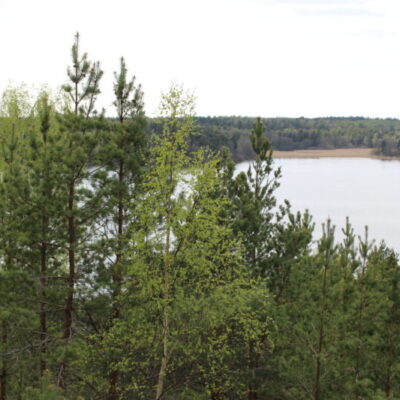 Arnöhuvud