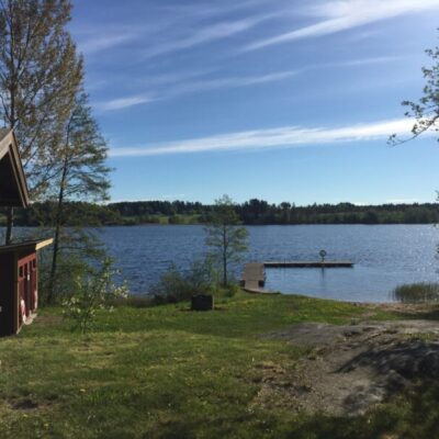Ärtemarksturen