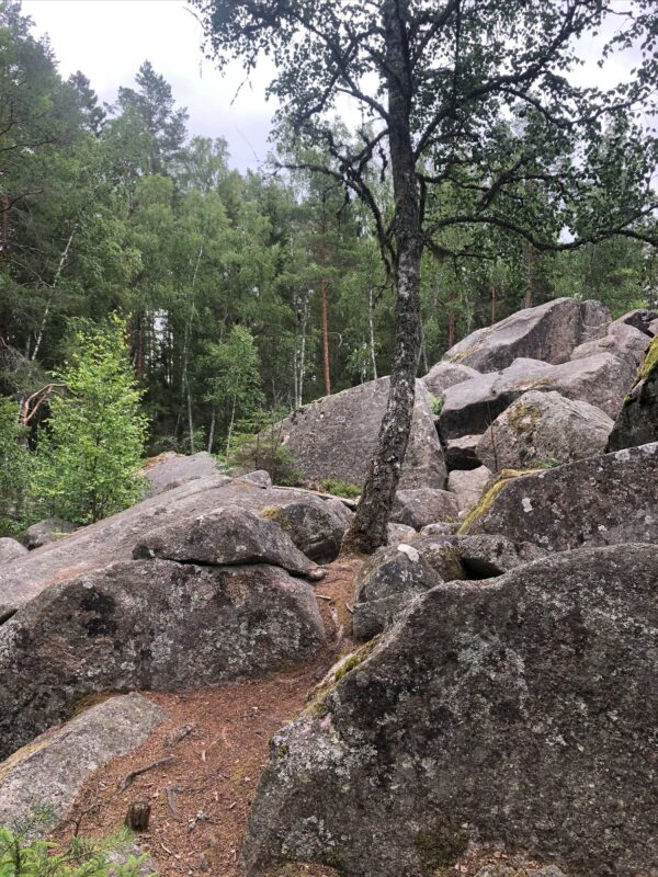 Äventyr för hela familjen i Kanaberg