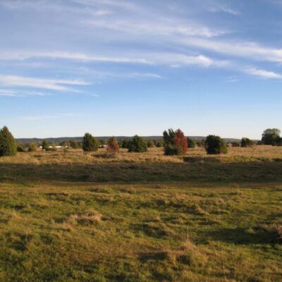 Axevalla Heath
